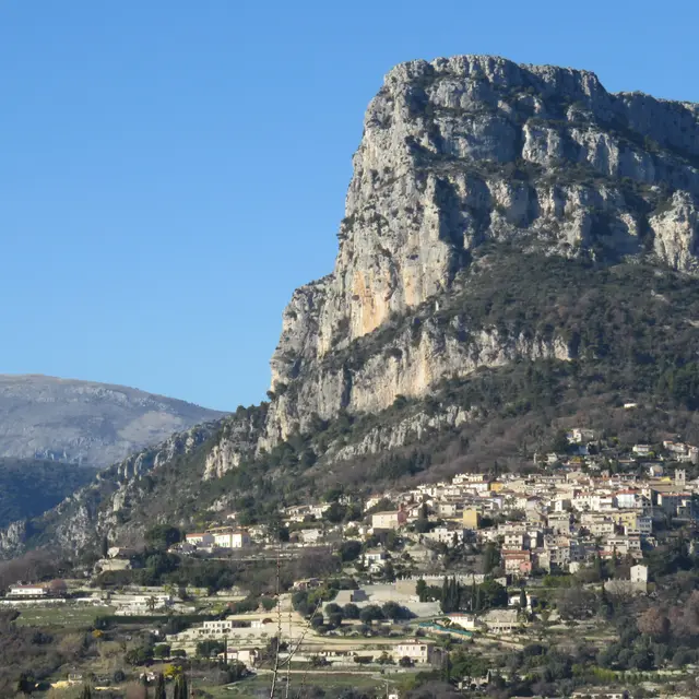 vue