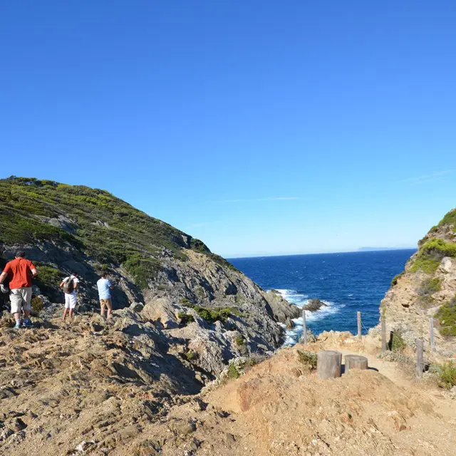 Sentier du littoral – « Balade des fruits d’or » sur l’île de Porquerolles_Hyères