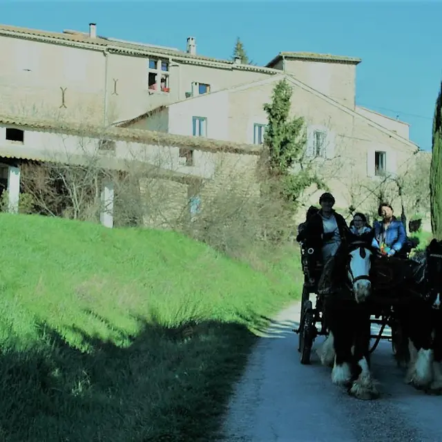 Poney express Attelage