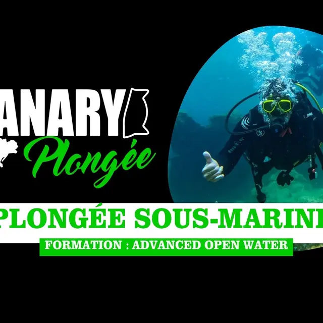 Sanary Plongée : Advanced Open Water (Formation)_Sanary-sur-Mer