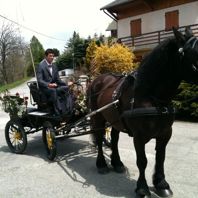 Les Ecuries des Ecrins