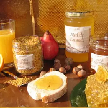 Miellerie aux rayons d'or_Montmaur