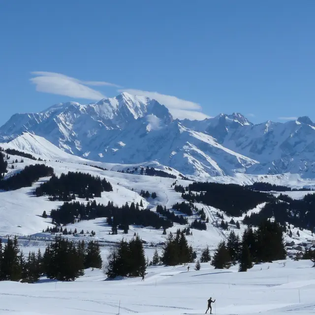Chalets et vue panoramique sur le Mont-Blanc