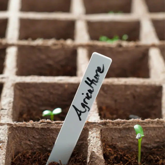Happy Hour - Des étiquettes pour vos plantes_Bourg-en-Bresse