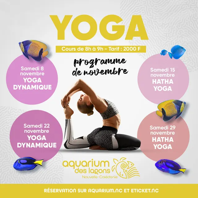 Yoga à l'Aquarium des Lagons 2025_Nouméa