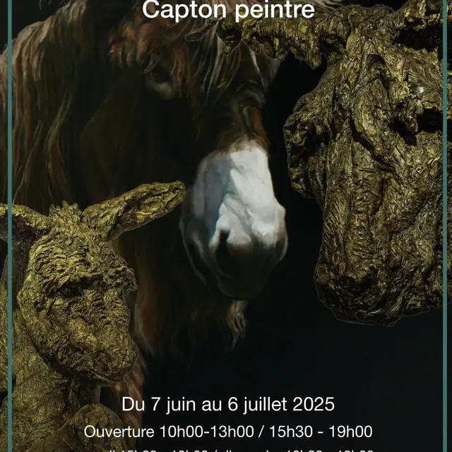 Exposition à la galerie Nathalie Soulet - Capton_La Flotte
