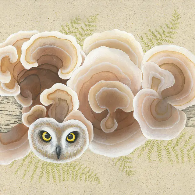 chimère végétales