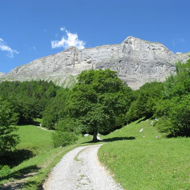 sentier VTT : les chalets de Coeur_Sallanches