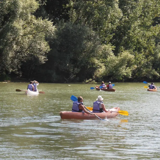Escapade bois de Maillance et Vieille Seille_Sermoyer