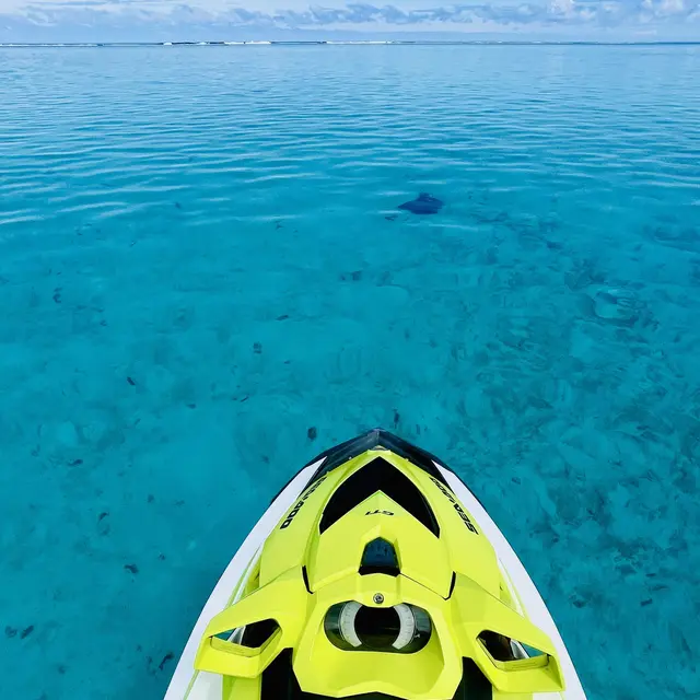 Moorea Paradise Activities