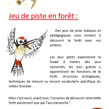 Présentation jeux de la forêt