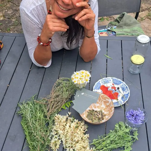 Atelier autour des plantes sauvages : sur les chemins de la rentrée_Villeneuve-lez-Avignon