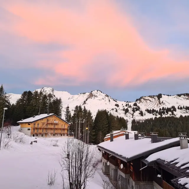 Les Mouflons I - 33m² - n°657