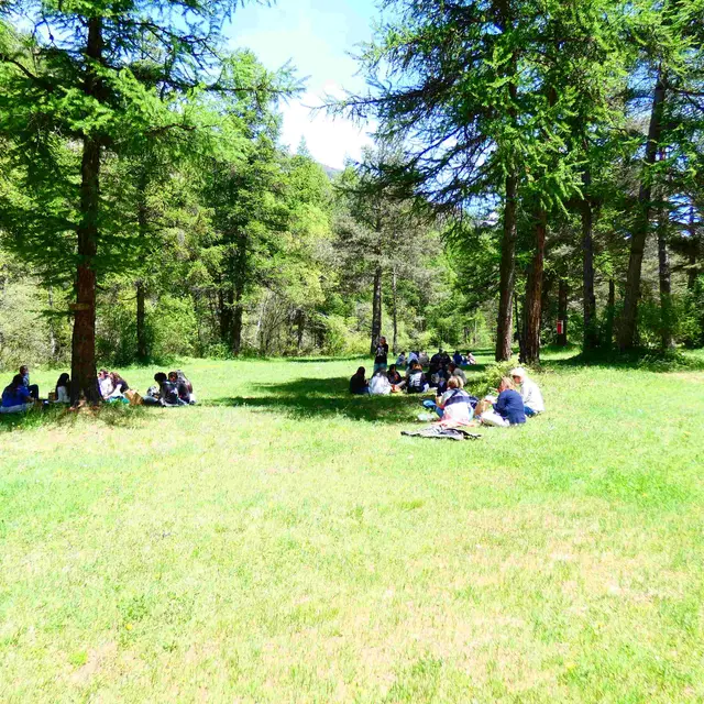 Sortie Parc - Les apéros de la Réserve au camping du Gouret_Aiguilles