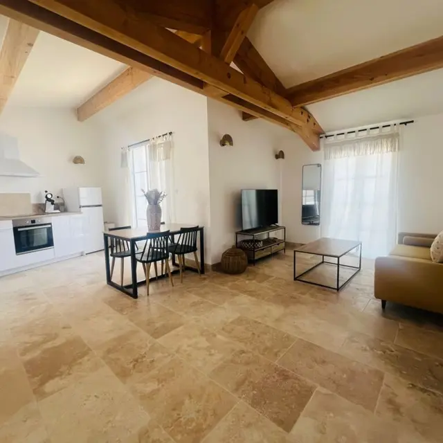 L'Oiseau des Mers_Saintes-Maries-de-la-Mer