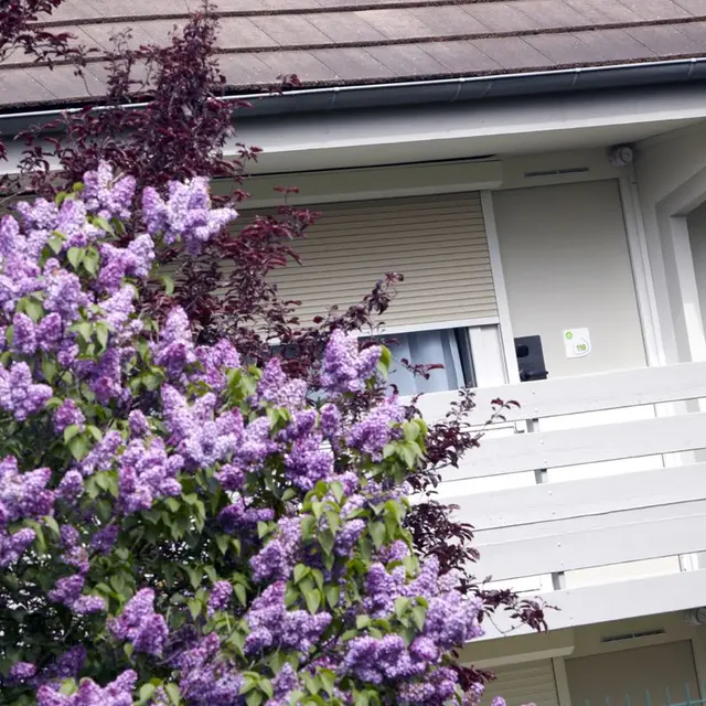 Hôtel Campanile Avignon Sud