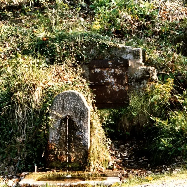 La Fontaine des Dragons de St Paul La Coste_Saint-Paul-la-Coste