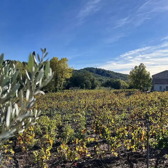 Domaine Croix Rousse_Puget-Ville