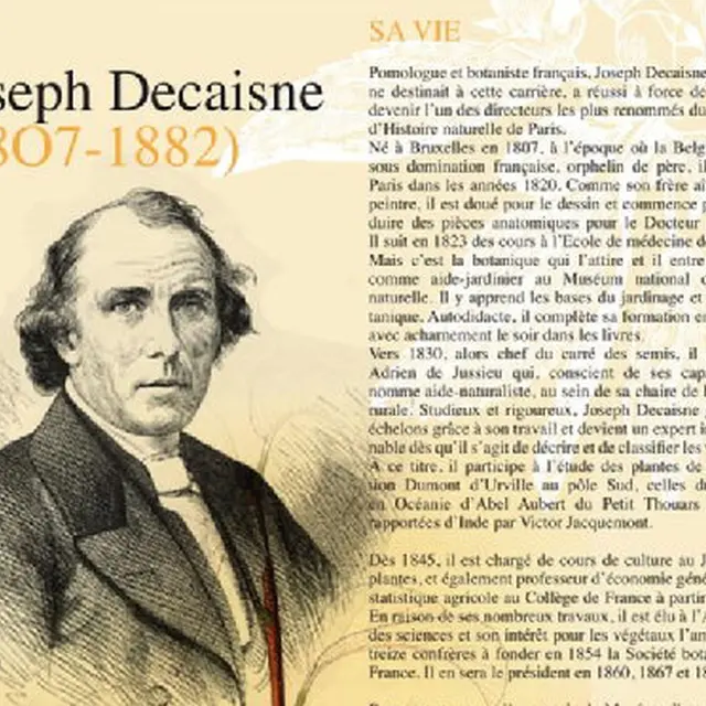 Expo : Le jardin fruitier du Muséum