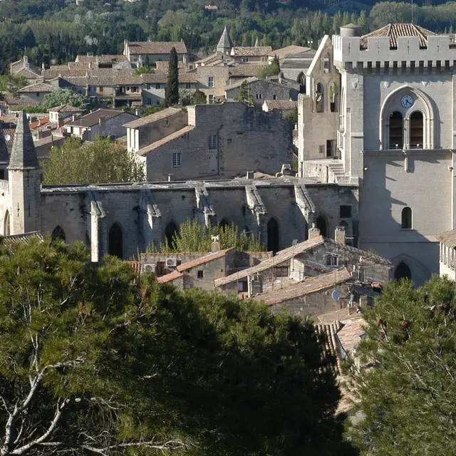 Visite libre de la Collégiale Notre-Dame et son cloître_Villeneuve-lez-Avignon