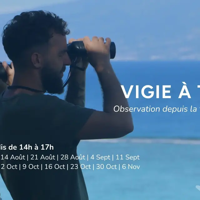 Vigie à terre - Oceania_Moorea-Maiao