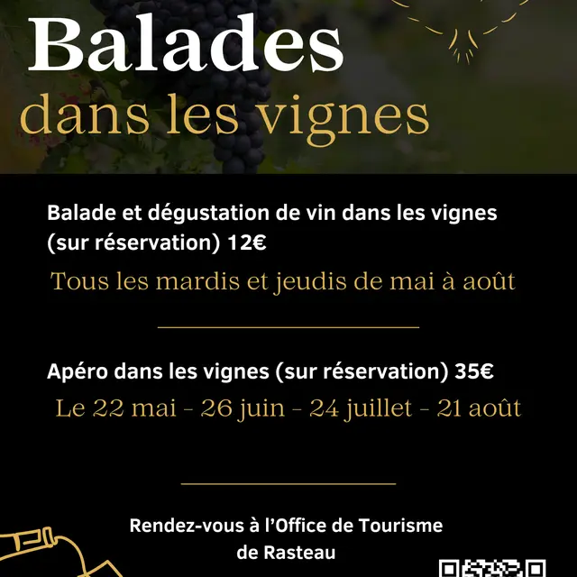 Apéro dans les vignes - Domaine Le Clot de Bénou_Rasteau