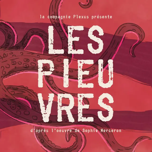Représentation Pieuvres (CIE Plexus) - Festival des Vagabondes d'Eté_Passy