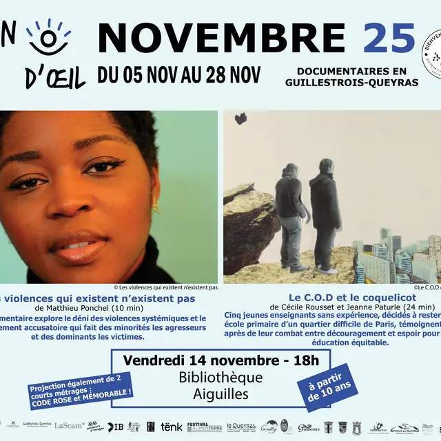 Clin d'Oeil  - Les violences qui existent n'existent pas - Le C.O.D et le coquelicot_Aiguilles