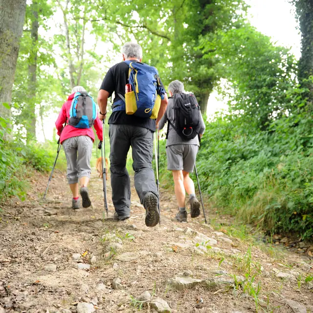 Randonneurs à la Guillermie