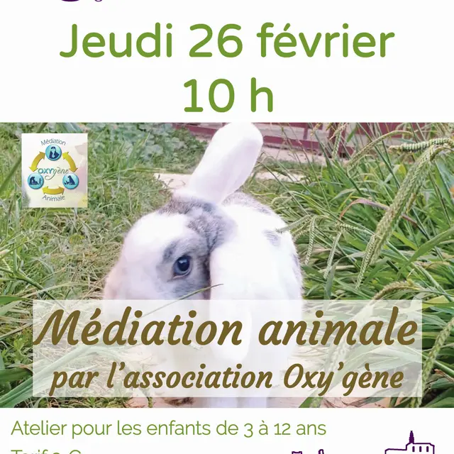 Atelier Médiation animale_Orgon