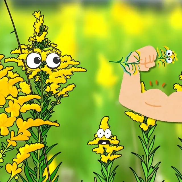 Mardi transpi : bye bye les invasives !_Doussard