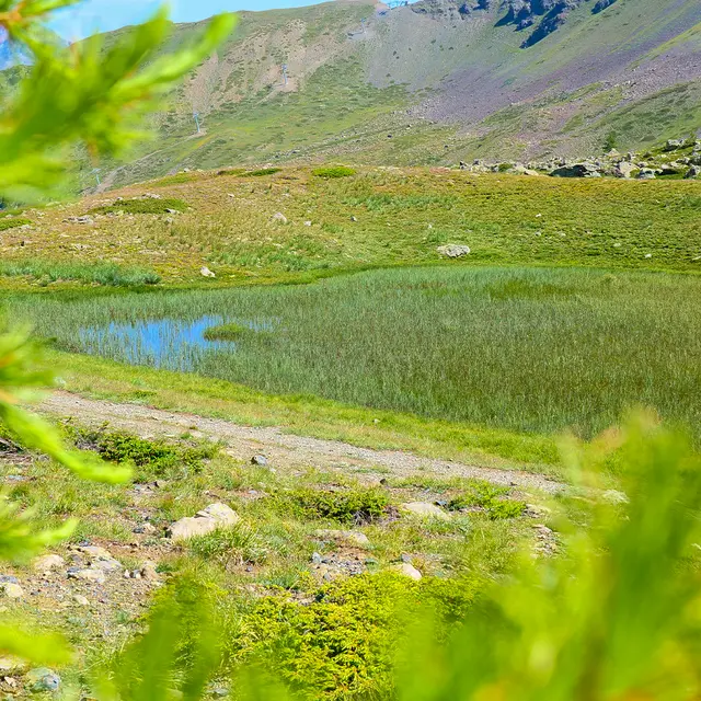 Sources de La Durance