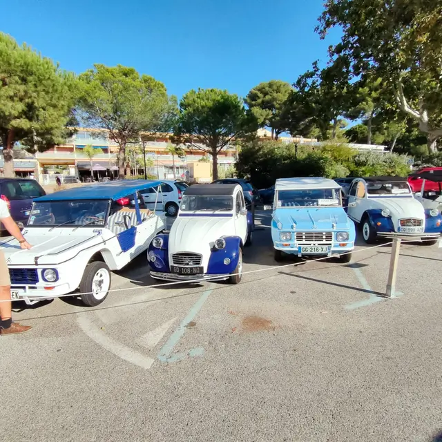 Label Auto_Bormes-les-Mimosas