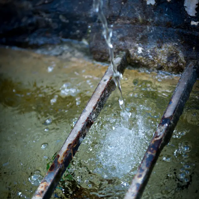 Fontaine à deux têtes