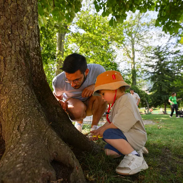 Atelier (grand) parent-enfant : mission insectes et construction d'un mini hôtel_Faverges-Seythenex