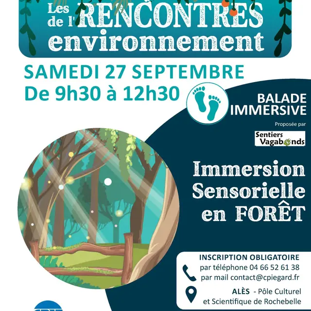 Immersion sensorielle en forêt