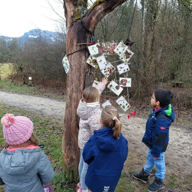 Sur la piste de la sentinelle de la forêt ; entre connaissances naturalistes et émotions_Chavanod