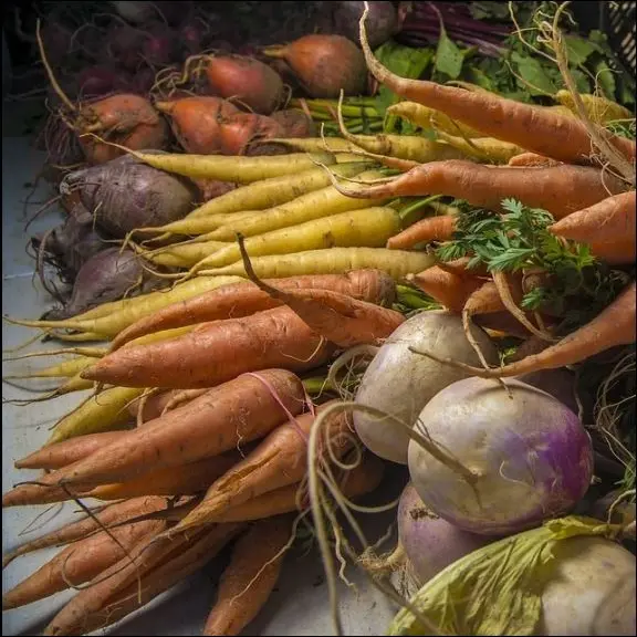 Le petit marché bio de St Antonin