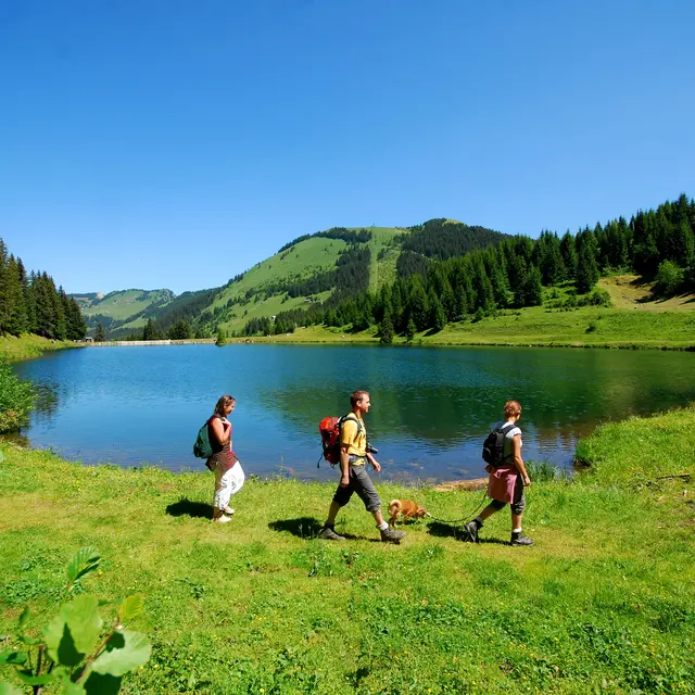 Lac de la Mouille