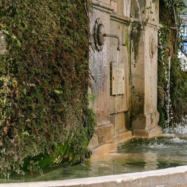 Fontaine des trois dauphins_Toulon