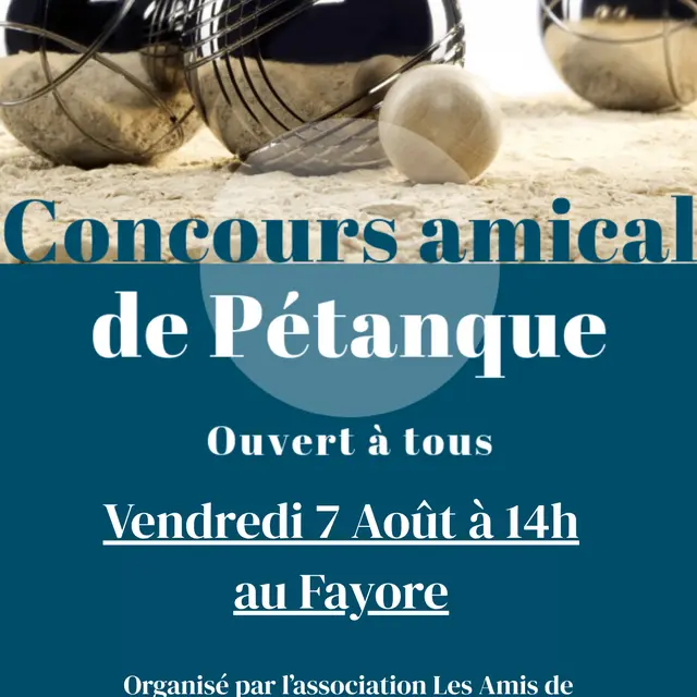 Concours amical de pétanque
