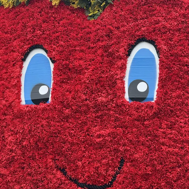 Corso du Mimosa_Cavalaire-sur-Mer