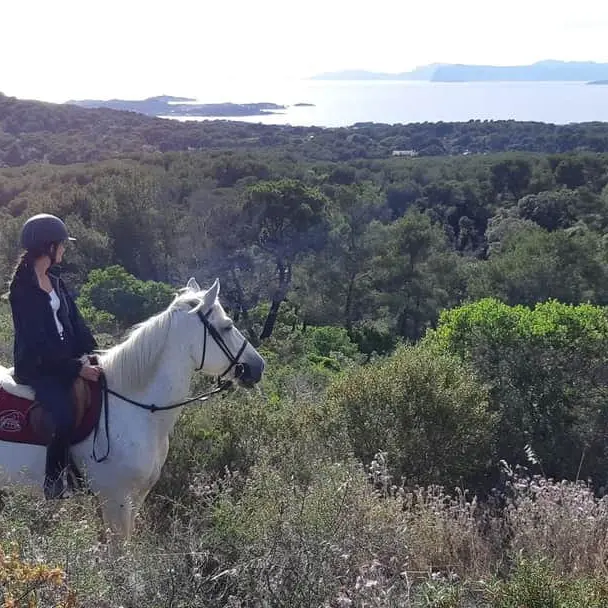 Les Ecuries du Brusc