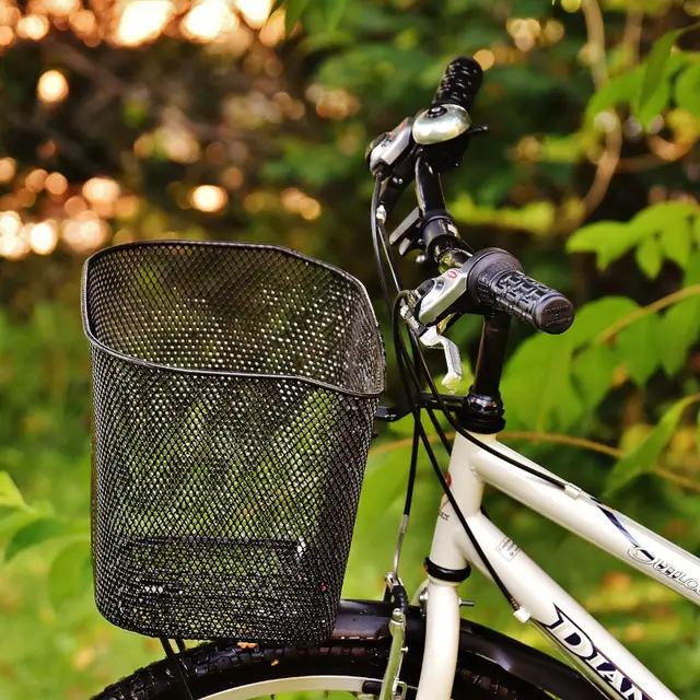 La plaine viticole et maraîchère de Saint-Maximin à vélo