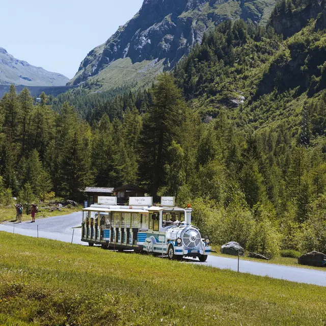 Train des Combins - Haut Val de Bagnes et Maison de la Pierre Ollaire_Val de Bagnes