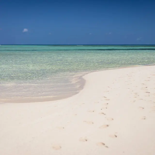 Tour des îlots à la journée - Etic NC_Nouméa