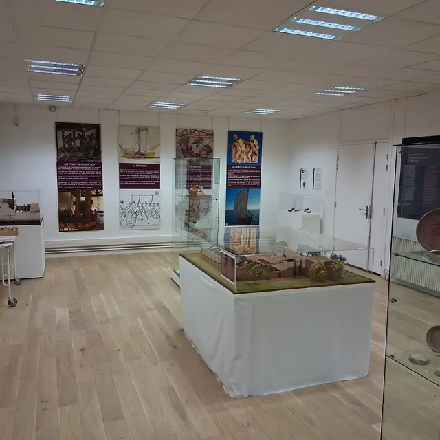 Exposition - Vins, Huiles et Parfums. Les exploitations viticoles et oléicoles antiques dans le Var._Toulon