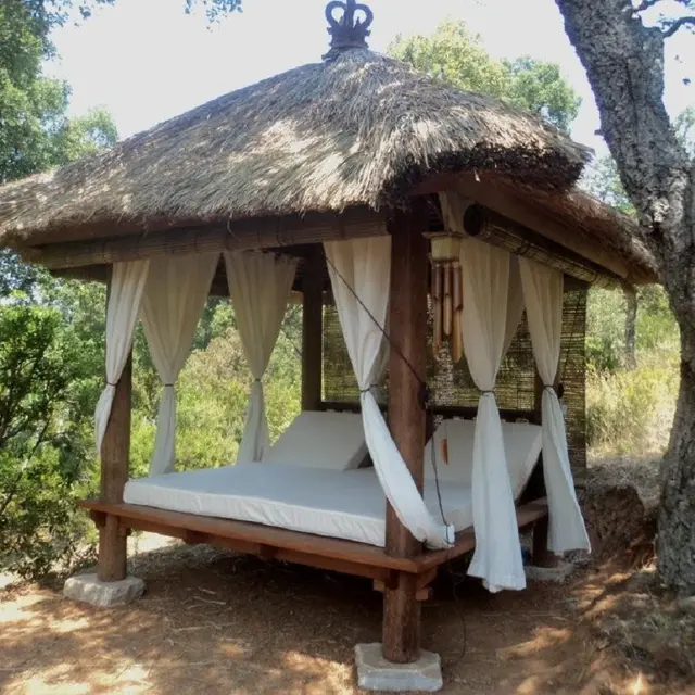 Jungle spirit Sanary