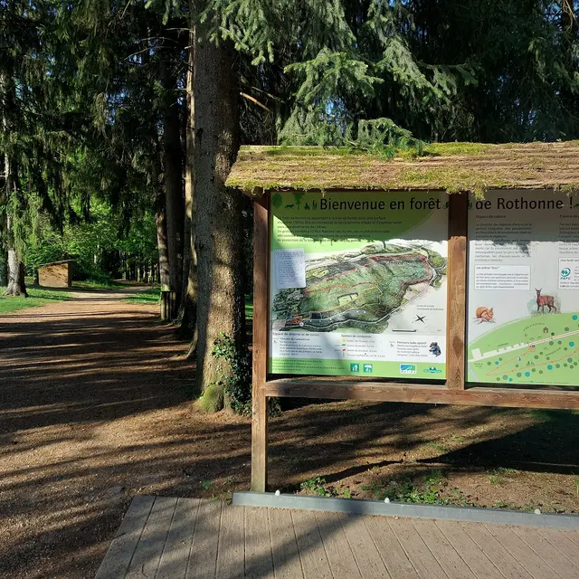 La forêt de Rothonne à Belley