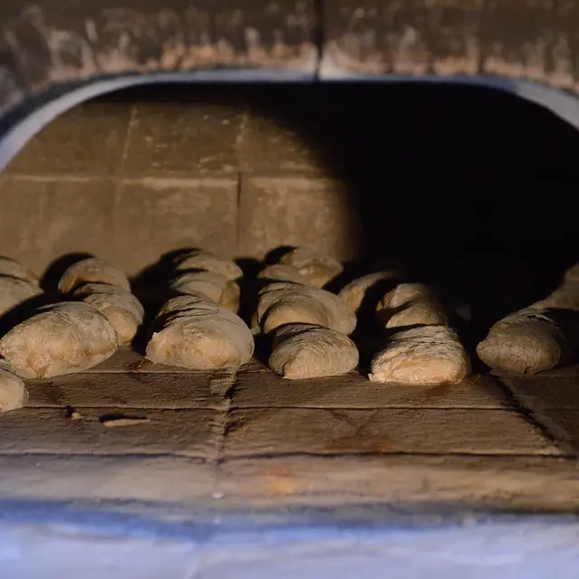 Ferme Le Mollard à Neuville les Dames